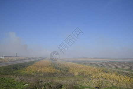 景观燃烧场在田野里焚烧稻草稻田景观燃烧场在田野里焚烧稻草稻田酒店图片