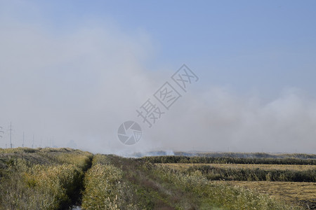 景观燃烧场在田野里焚烧稻草稻田景观燃烧场在田野里焚烧稻草稻田酒店图片