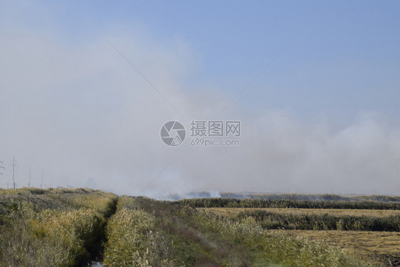 景观燃烧场在田野里焚烧稻草稻田景观燃烧场在田野里焚烧稻草稻田酒店图片