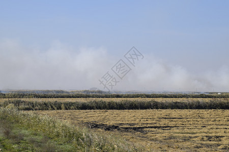 景观燃烧场在田野里焚烧稻草稻田景观燃烧场在田野里焚烧稻草稻田酒店图片