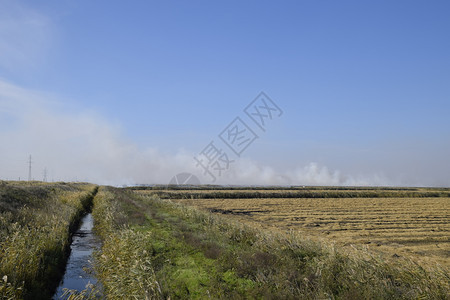 景观燃烧场在田野里焚烧稻草稻田景观燃烧场在田野里焚烧稻草稻田酒店图片