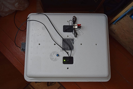养鸡鸭子和鹅的孵化器家用设备养鸡鸭子和鹅的孵化器图片