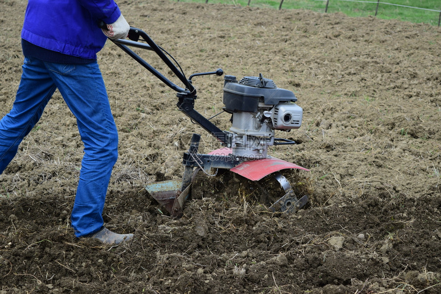 在步行后面的拖拉机下种土豆在花园里有汽车路障的人在步行后面的拖拉