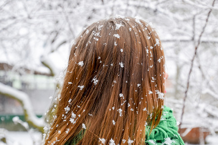 女孩头部在雪花中女孩头发上有雪花女孩头发上有雪花图片