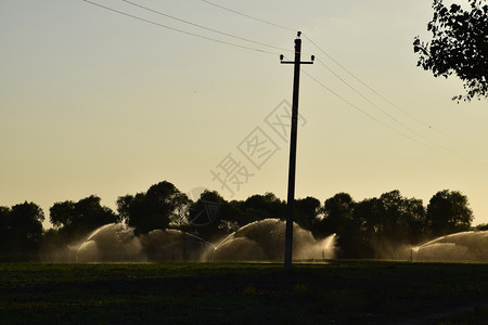 甜瓜田的灌溉系统给田地浇水SprinklerSprinkler瓜田的灌溉系统给田地浇水Sprinkler图片