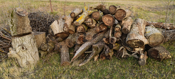 一小堆柴成的一小木柴,旧受真菌和地衣影响,用火柴洗澡和放。图片