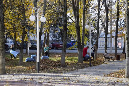 SlavyansknaKubaniRussia2016年9月日市政府的工人在公园里收集叶子女社会工作者将叶子移走市政府的工人在公图片