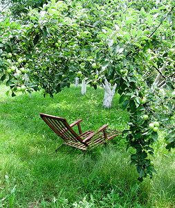 绿色夏季花园的椅子绿色苹果木制椅子图片