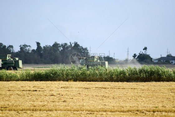 俄罗斯Poltavskaya村2017年9月6日农业机械图片