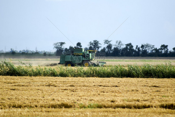 俄罗斯Poltavskaya村2017年9月6日农业机械图片
