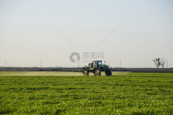 高轮式拖拉机正在对青小麦施肥使用细散喷雾化学品日落背景的拖拉机高轮式正在对青小麦施肥图片