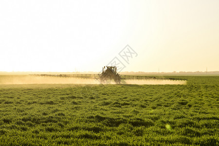 高轮式拖拉机正在对青小麦施肥使用细散喷雾化学品日落背景的拖拉机高轮式正在对青小麦施肥图片