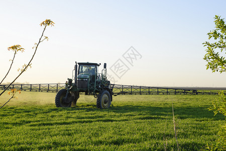 高轮式拖拉机正在对青小麦施肥使用细散喷雾化学品日落背景的拖拉机高轮式正在对青小麦施肥图片