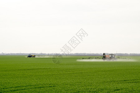 俄罗斯Temryuk附近的田地2017年5月日高轮拖拉机正在对小麦施肥使用微散喷洒的化学品拖拉机配备微散喷洒化肥的装置拖拉机配备图片