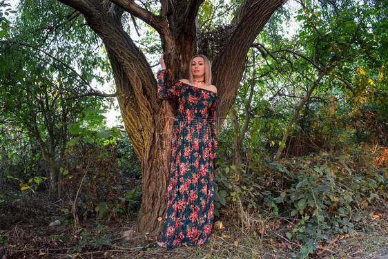女人在柳树下裙子图片