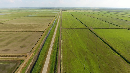 在洪水泛滥的田地上种植大米在田地上种植大米收获的开始鸟类眼观淹没大米稻田在地上种植大米的农艺方法在稻田上种植大米收获的开始鸟类眼图片