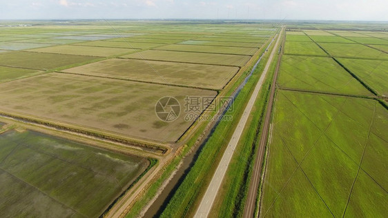 在洪水泛滥的田地上种植大米在田地上种植大米收获的开始鸟类眼观淹没大米稻田在地上种植大米的农艺方法在稻田上种植大米收获的开始鸟类眼图片