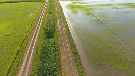 在洪水泛滥的田地上种植大米在田地上种植大米收获的开始鸟类眼观淹没大米稻田在地上种植大米的农艺方法在稻田上种植大米收获的开始鸟类眼图片