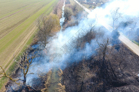 沿着灌溉运河烧干草烟雾和火焰烧沿灌溉运河烧干草烟雾和火烈图片