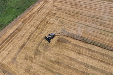 收割小麦获器农业机械投入使用图片