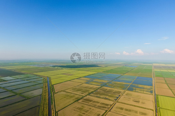 稻田被水淹没洪水淹没间种植稻米的农艺方法耕种稻米的田地被水淹没从上面看田间种植稻米的农艺方法图片