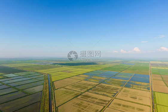 稻田被水淹没洪水淹没间种植稻米的农艺方法耕种稻米的田地被水淹没从上面看田间种植稻米的农艺方法图片