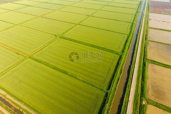 稻田被水淹没洪水淹没间种植稻米的农艺方法耕种稻米的田地被水淹没从上面看田间种植稻米的农艺方法图片