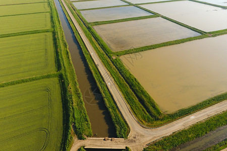 稻田被水淹没洪水淹没间种植稻米的农艺方法耕种稻米的田地被水淹没从上面看田间种植稻米的农艺方法图片