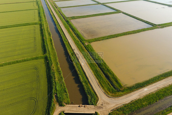 稻田被水淹没洪水淹没间种植稻米的农艺方法耕种稻米的田地被水淹没从上面看田间种植稻米的农艺方法图片