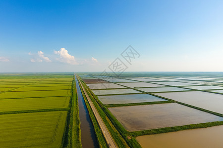 稻田被水淹没洪水淹没间种植稻米的农艺方法耕种稻米的田地被水淹没从上面看田间种植稻米的农艺方法图片