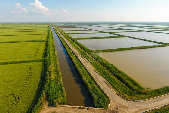 稻田被水淹没洪水淹没间种植稻米的农艺方法耕种稻米的田地被水淹没从上面看田间种植稻米的农艺方法图片