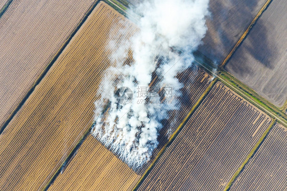 在田里烧稻草地上纸火田里稻草火烟图片