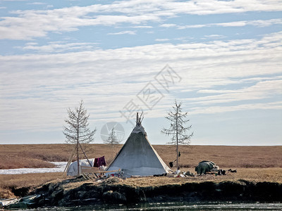 亚马尔北部YamalWigwam北部的土著人民从驯鹿皮中抽取的YamalWigwam的土著人民从驯鹿皮中抽取的Yamal北部的土图片