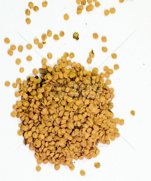 照片 餐饮美食 绝缘的 番茄种子播停的子番茄.