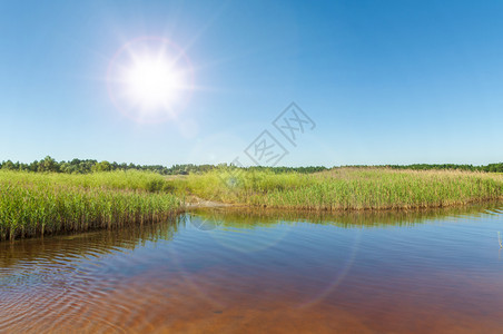 在阳光明媚的夏日乌克兰赫尔森草原中间的矿物和碘的愈合湖图片