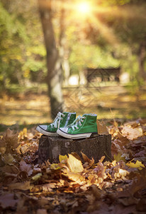 在秋天公园的黄色山坡叶中飞行的树桩上穿着绿色运动鞋图片