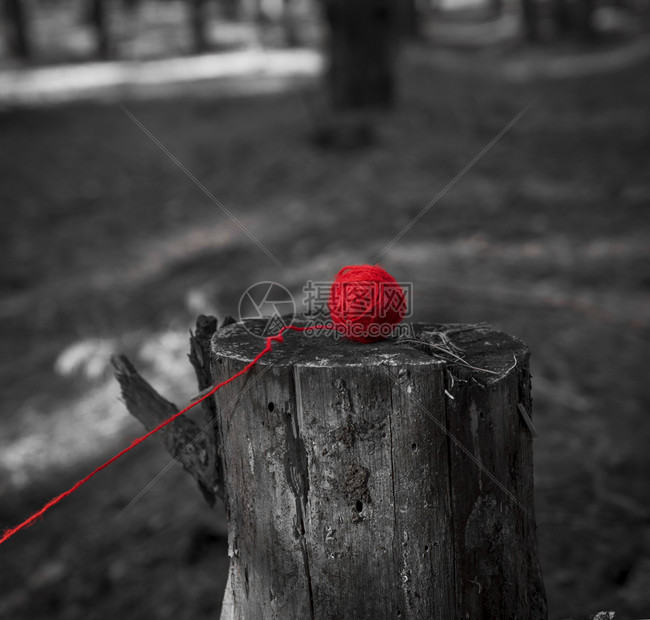 红羊毛球编织线躺在树桩上创意概念图片