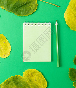 绿色背景和木铅笔上的记本黄叶旁顶视图图片