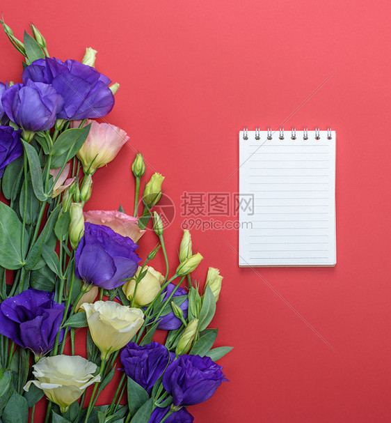 在红色背景上打开笔记本紧靠一束花图片