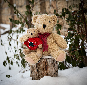 两只棕色泰迪熊坐在树桩上拥抱冬天图片