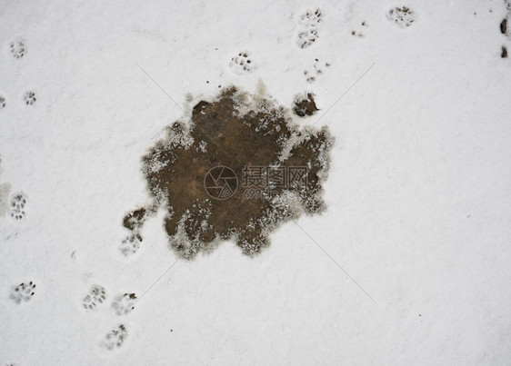 车行道上方的熔雪碎片图片