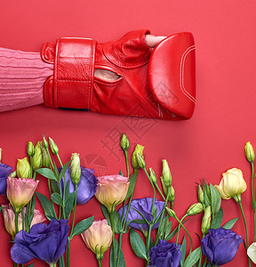 红色的拳击手套和花束红底的尤斯托马利桑图图片