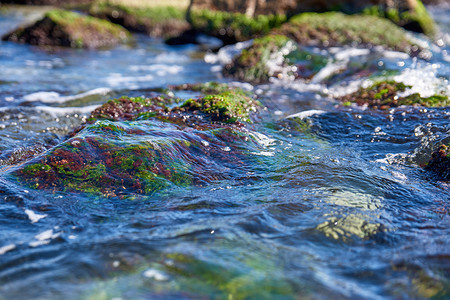 水藻类和石块下的海水夏季日图片