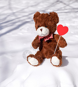 棕色泰迪熊坐在雪地上图片