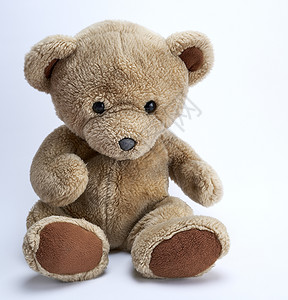 白色玩具熊背景