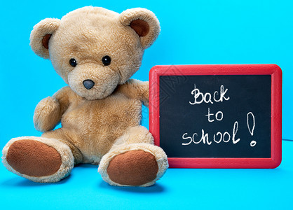 棕褐色泰迪熊带着红框以白粉写成的文字回到学校蓝色背景图片