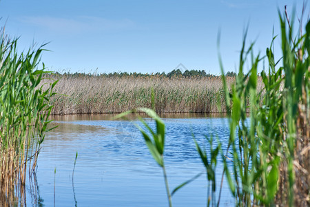 乌克兰蓝赫尔森市草原中的湖泊图片
