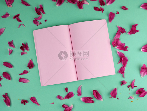 张开笔记本粉红空白页绿色背景和红小马的花瓣顶视图图片