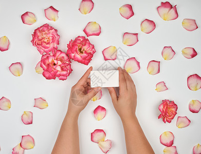 两只手拿着空白纸牌和粉红玫瑰花瓣的两只女手顶视皮再生防老化程序概念图片