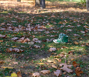 绿色的旧纺织运动鞋站在秋林的中间白天图片